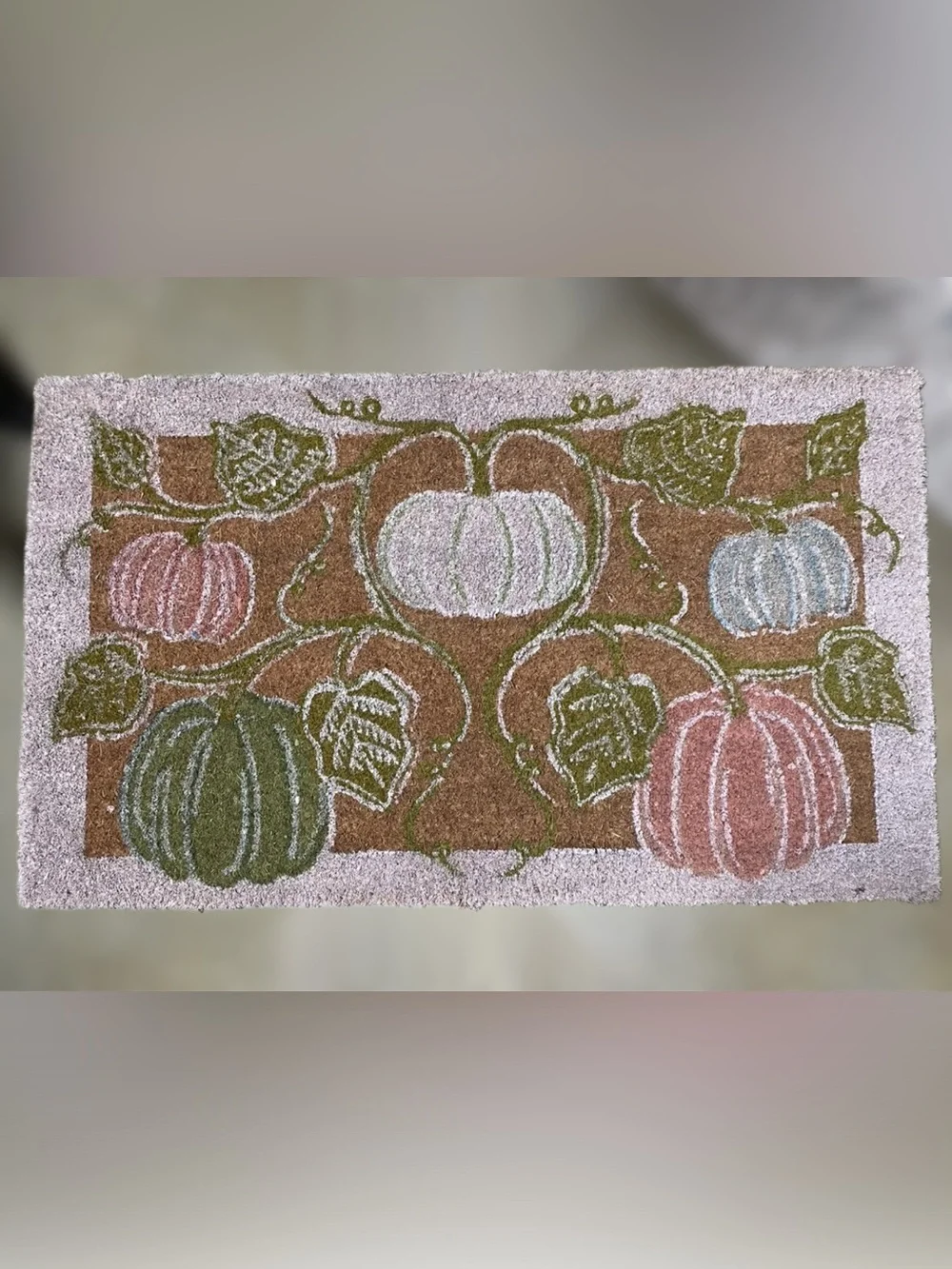 Anthropologie Bruna Autumn Pumpkin Printed Coir Doormat - Multicolor (18”x30”)